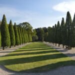 Slimme trucs om je tegels te reinigen